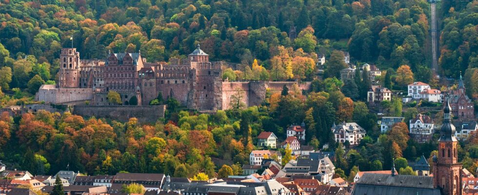 heidelberg, castle, historic center